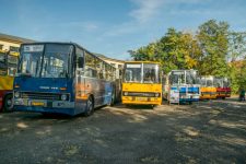 Elevate Your Red Rocks Experience: Denver to Red Rocks Amphitheater Transportation Service
